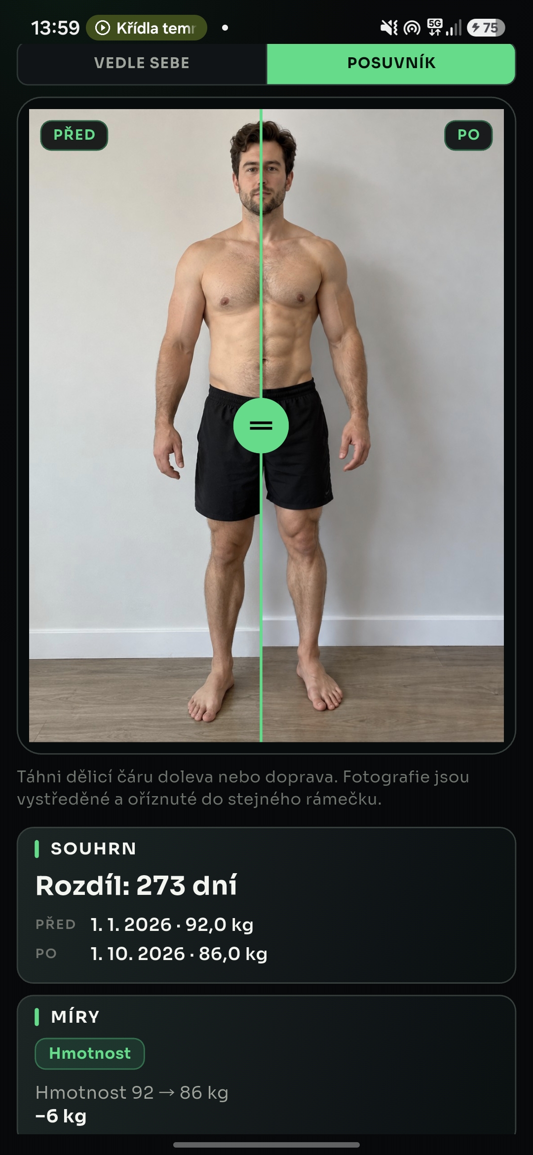 WOOTREX: porovnání fotografií postavy a přehled tělesných změn